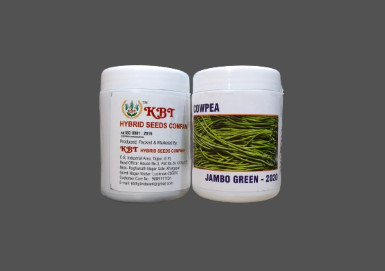COWPEA JAMBOGREEN-2020 250g 
